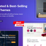 WordPress Themes
