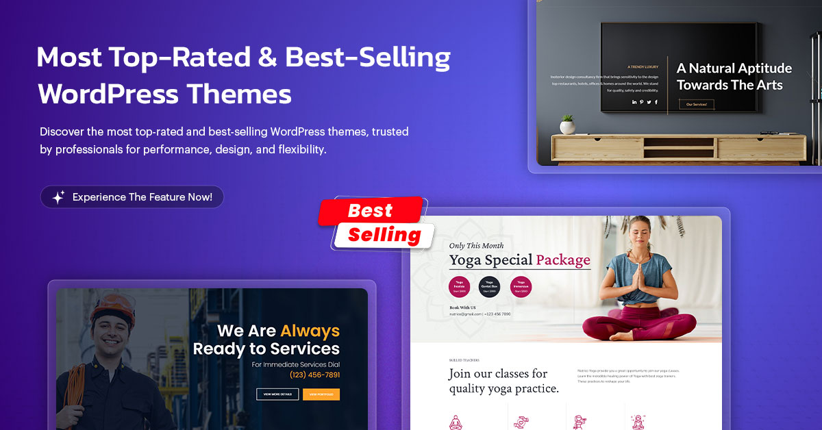 WordPress Themes
