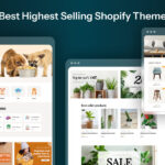 Highest Selling Shopify Theme